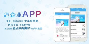 企業(yè)軟件開(kāi)發(fā) 為企業(yè)帶來(lái)的核心價(jià)值